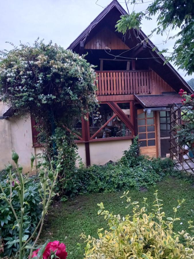 Casa Mihai Purcareni Exteriör bild