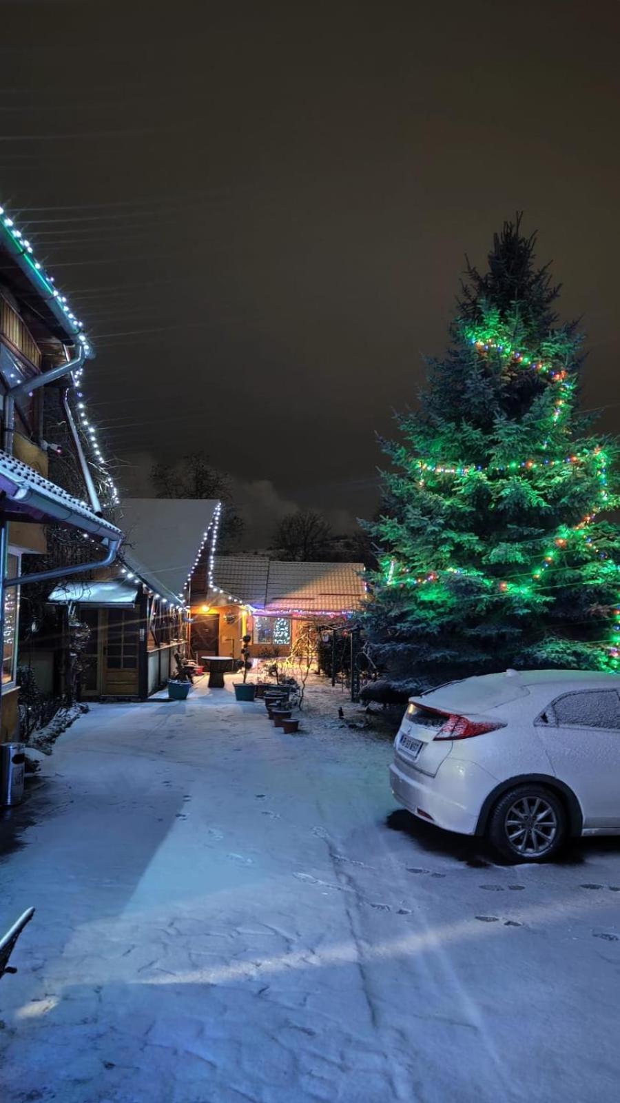 Casa Mihai Purcareni Exteriör bild